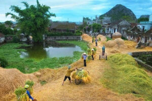 Làng quê Việt Nam trong ký ức người xa xứ